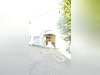 Ma-Cabane - Vente Divers LOUPIA, 56 m²
