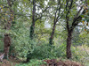 Ma-Cabane - Vente Divers PLANCOET, 0 m²