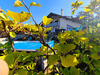 Ma-Cabane - Vente Divers VIUZ EN SALLAZ, 220 m²