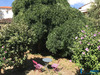 Ma-Cabane - Vente Immeuble Albi, 137 m²