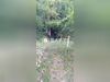 Ma-Cabane - Vente Immeuble Benais, 55 m²