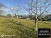Ma-Cabane - Vente Immeuble Castres, 4813 m²