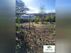 Ma-Cabane - Vente Immeuble Château-Chinon (Ville), 280 m²