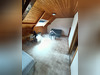 Ma-Cabane - Vente Immeuble Dangé-Saint-Romain, 127 m²