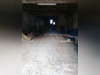 Ma-Cabane - Vente Immeuble ESCAZEAUX, 390 m²