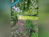 Ma-Cabane - Vente Immeuble Freyming-Merlebach, 348 m²