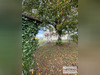 Ma-Cabane - Vente Immeuble HUISSEAU-SUR-COSSON, 106 m²