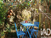 Ma-Cabane - Vente Immeuble La Trinité-Surzur, 410 m²