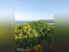 Ma-Cabane - Vente Immeuble LE MARIGOT, 240 m²
