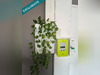 Ma-Cabane - Vente Immeuble Maisnil-les-Ruitz, 255 m²