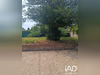 Ma-Cabane - Vente Immeuble Meurchin, 270 m²