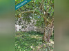 Ma-Cabane - Vente Immeuble Moulis-en-Medoc, 102 m²