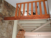 Ma-Cabane - Vente Immeuble NANTES, 0 m²