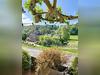 Ma-Cabane - Vente Immeuble Navarrenx, 600 m²