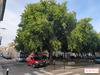 Ma-Cabane - Vente Immeuble Nîmes, 170 m²