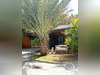 Ma-Cabane - Vente Immeuble SAINT MARTIN, 994 m²
