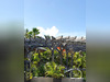 Ma-Cabane - Vente Immeuble SAINT MARTIN, 994 m²