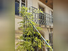 Ma-Cabane - Vente Immeuble Savigny-lès-Beaune, 755 m²