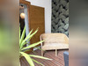 Ma-Cabane - Vente Immeuble Thuir, 560 m²
