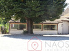 Ma-Cabane - Vente Immeuble TOURNUS, 301 m²