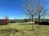Ma-Cabane - Vente Local commercial Almont-les-Junies, 649 m²