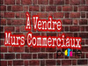 Ma-Cabane - Vente Local commercial Arras, 150 m²