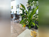 Ma-Cabane - Vente Local commercial Bordeaux, 85 m²