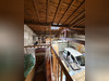 Ma-Cabane - Vente Local commercial Bordeaux, 190 m²