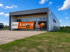 Ma-Cabane - Vente Local commercial Dombasle-sur-Meurthe, 1728 m²
