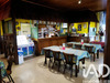 Ma-Cabane - Vente Local commercial Drulingen, 546 m²