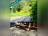 Ma-Cabane - Vente Local commercial Gerardmer, 546 m²
