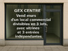 Ma-Cabane - Vente Local commercial Gex, 110 m²