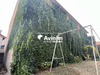 Ma-Cabane - Vente Local commercial Joze, 650 m²