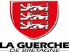 Ma-Cabane - Vente Local commercial LA GUERCHE-DE-BRETAGNE, 100 m²