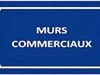 Ma-Cabane - Vente Local commercial LE BARCARES, 470 m²