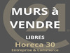 Ma-Cabane - Vente Local commercial Le Grau-du-Roi, 390 m²