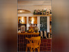 Ma-Cabane - Vente Local commercial Levens, 90 m²