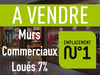 Ma-Cabane - Vente Local commercial LYON 1ER ARRONDISSEMENT, 87 m²