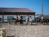 Ma-Cabane - Vente Local commercial Marles-en-Brie, 800 m²