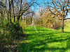 Ma-Cabane - Vente Local commercial MASQUIERES, 270 m²