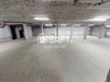 Ma-Cabane - Vente Local commercial Morestel, 290 m²