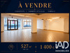 Ma-Cabane - Vente Local commercial Nancy, 527 m²