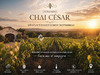 Ma-Cabane - Vente Local commercial Nissan-lez-Enserune, 560 m²
