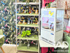 Ma-Cabane - Vente Local commercial Précy-sur-Oise, 192 m²