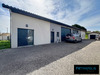 Ma-Cabane - Vente Local commercial Pusignan, 352 m²