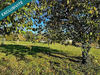 Ma-Cabane - Vente Local commercial Puymirol, 250 m²