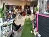 Ma-Cabane - Vente Local commercial Renaze, 54 m²