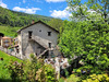 Ma-Cabane - Vente Local commercial Saint-Agnan-en-Vercors, 354 m²