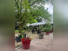 Ma-Cabane - Vente Local commercial Saint-Aigulin, 400 m²