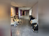 Ma-Cabane - Vente Local commercial SAINT-ETIENNE, 760 m²